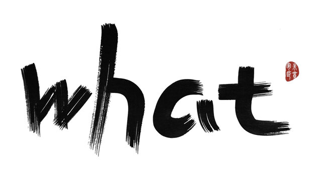 WHATwhat什么