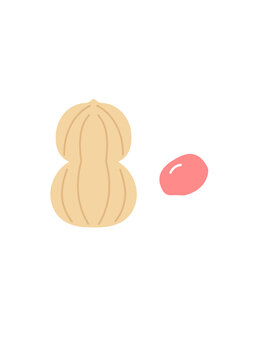 花生插畫
