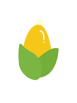 玉米插畫