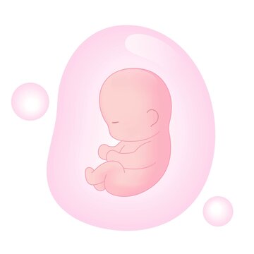 卡通母嬰胎兒