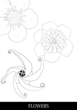 flowers奇怪花草