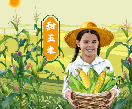 甜玉米插畫