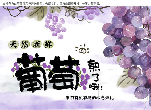 葡萄熟了手繪包裝插圖