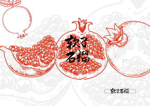 石榴矢量