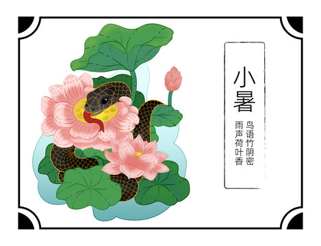 手繪黑蛇與荷花插畫