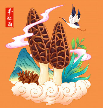 羊肚菌插畫
