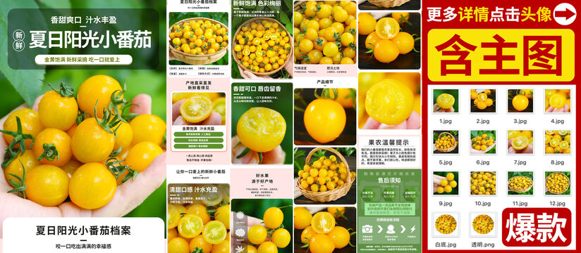 夏日陽光小番茄詳情