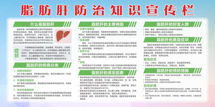 脂肪肝防治知識(shí)宣傳欄