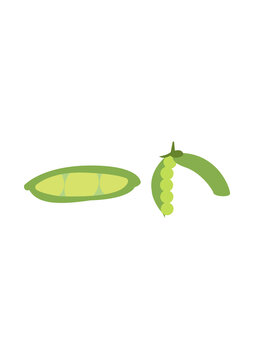 豌豆插畫
