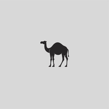 駱駝logo