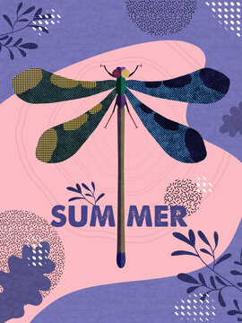 夏日之森蜻蜓