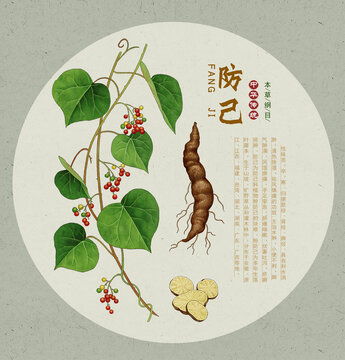 防己