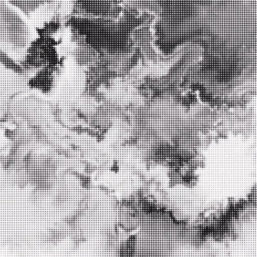 圓點畫