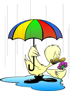 雨中打傘的小鴨子