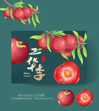三華李插畫包裝