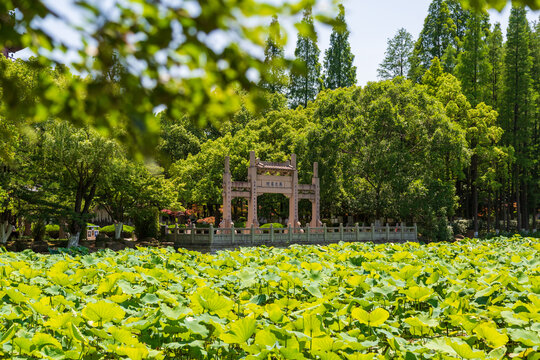 湖州飛英公園