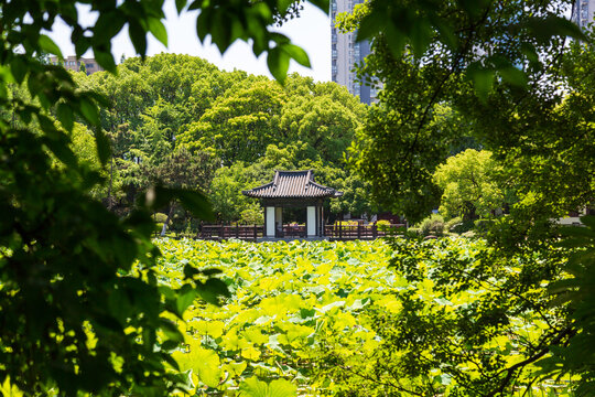 湖州飛英公園
