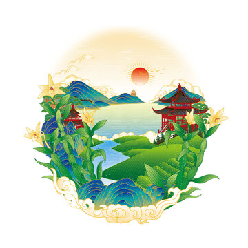 霍山鐵皮石斛插畫