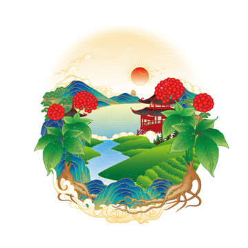 西洋參插畫