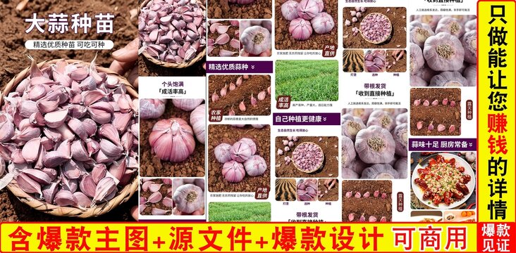 大蒜種詳情頁(yè)