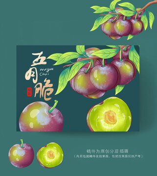 五月脆李包裝插畫