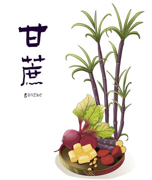 甘蔗