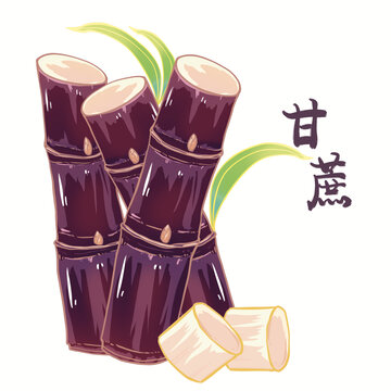 手繪國(guó)潮風(fēng)水果紅糖甘蔗包裝插畫
