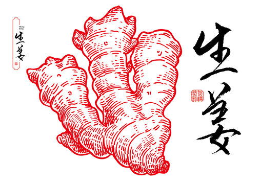生姜線稿