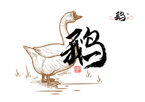 大鵝線稿