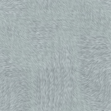 淺色毛發(fā)貼圖