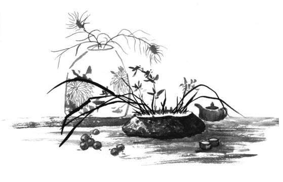 茶趣蘭花孔雀