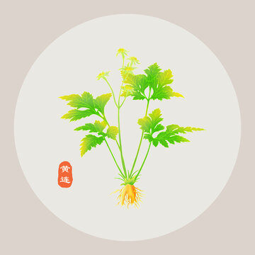 黃連