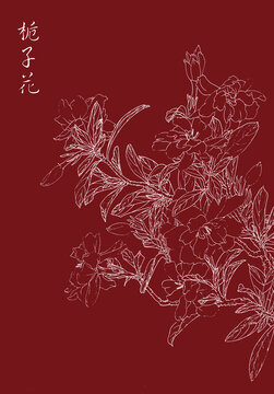 梔子花白描