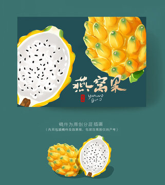 燕窩果插畫包裝