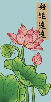 荷花