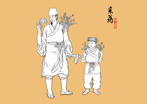 采藥插畫(huà)