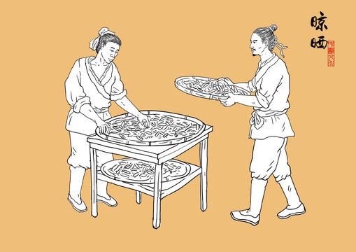 中藥晾曬插畫