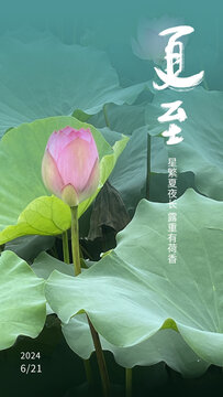 夏至