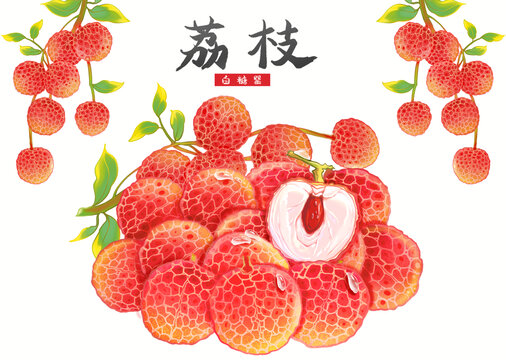 荔枝手繪風(fēng)寫(xiě)實(shí)水果插畫(huà)包裝
