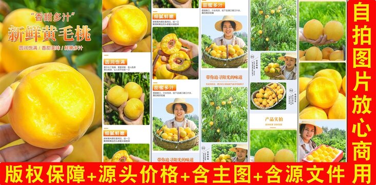 黃毛桃詳情頁