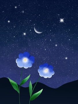 唯美治愈星空下藍(lán)色的小花