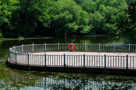 森林公園觀景臺