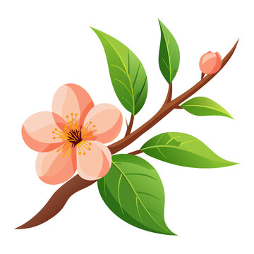 一朵桃花