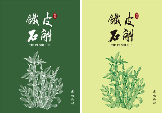 鐵皮石斛包裝插畫