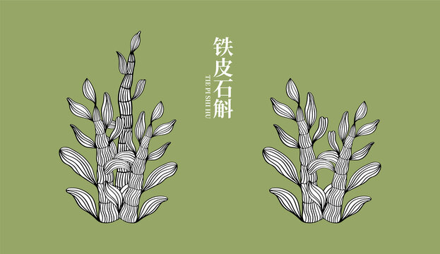 鐵皮石斛