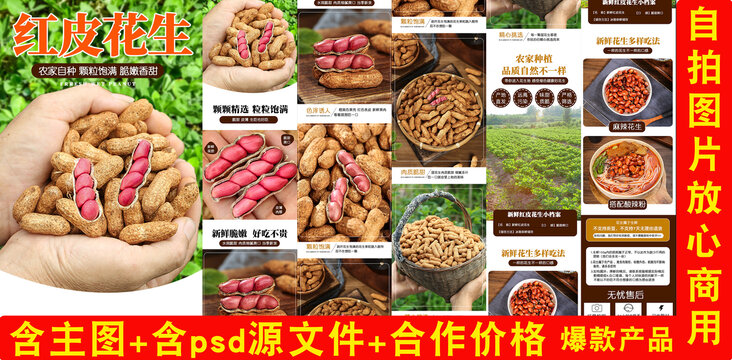 紅皮花生詳情頁