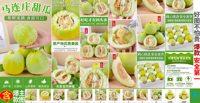 馬連莊甜瓜詳情頁
