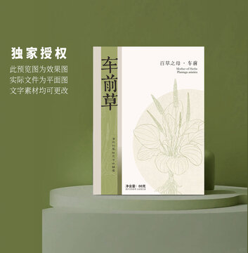 車前草包裝