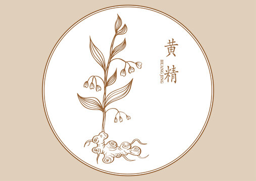 黃精