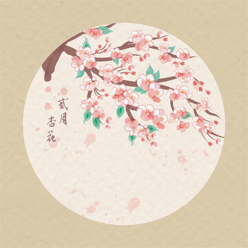 十二月時(shí)令花之杏花